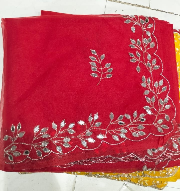 Red organza saree with Embroidery work