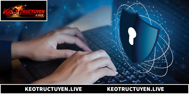 Khám phá chi tiết về chính sách bảo mật