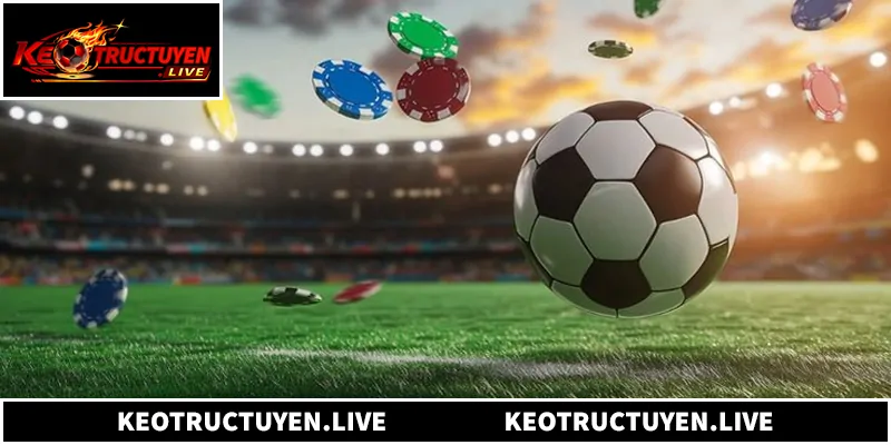 Kèo Trực Tuyến - Cập Nhật, Soi Kèo Nhà Cái Hôm Nay Chuẩn Xác Tầm quan trọng của kèo trực tuyến trong cá cược