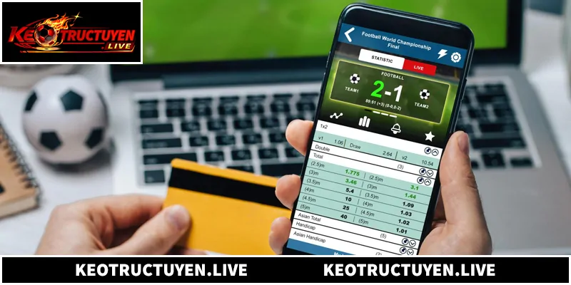 Tổng quan về hệ thống livescore